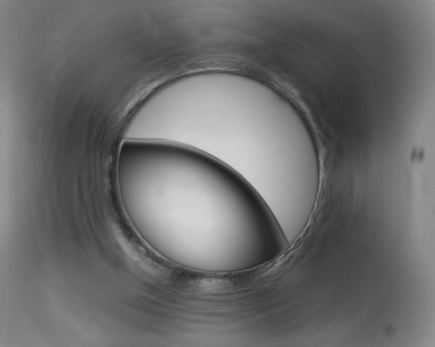 X0000113910154200909241314