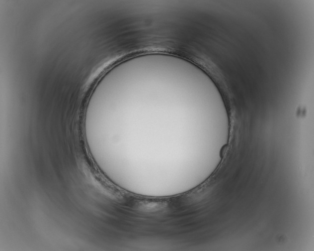 X0000113910155200909241314