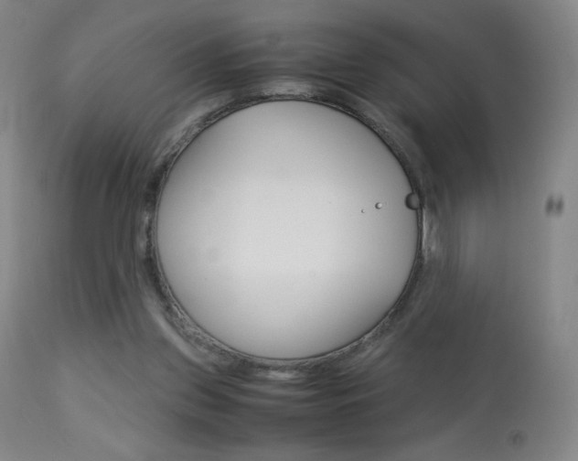 X0000113910157200909241314