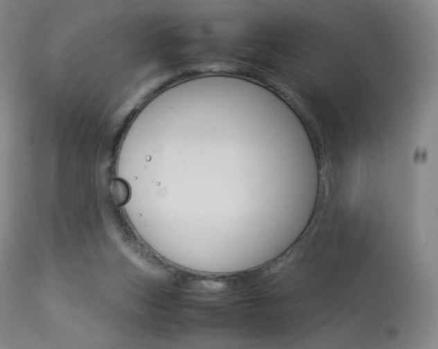 X0000113910159200909241314