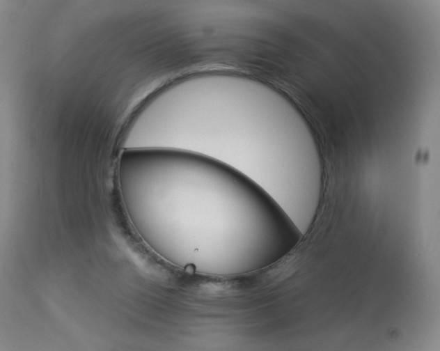 X0000113910160200909241314