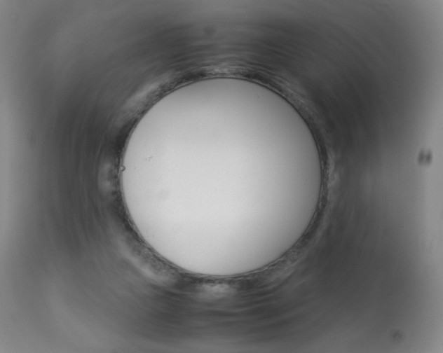X0000113910161200909241314