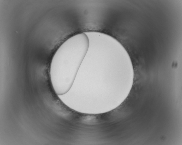X0000113910162200909241314