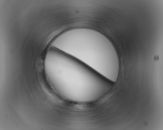 X0000113910164200909241314