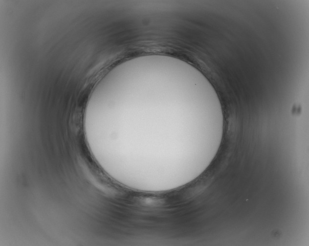X0000113910165200909241314