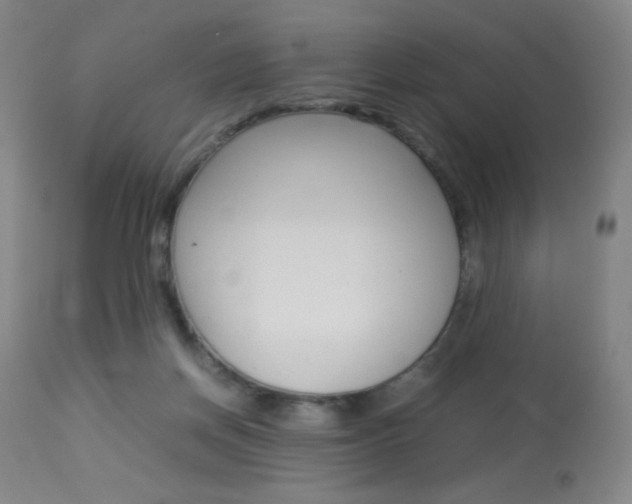 X0000113910166200909241314
