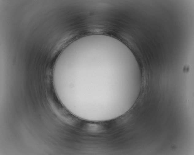 X0000113910167200909241314