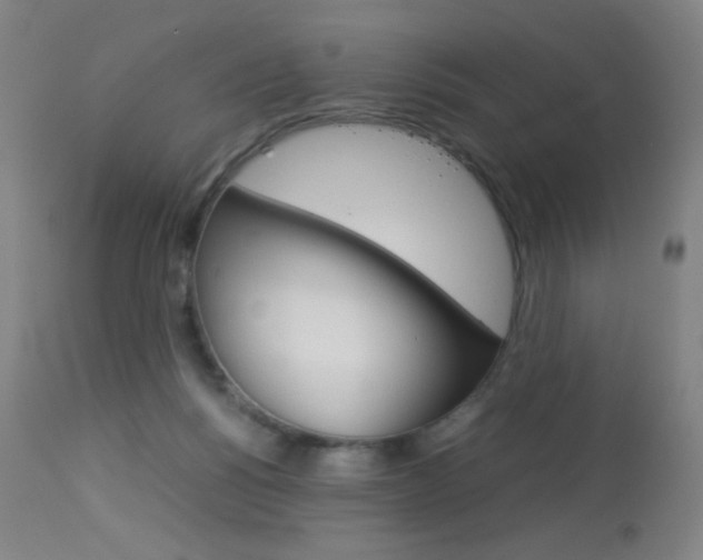 X0000113910168200909241314