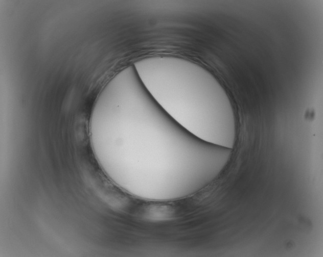 X0000113910169200909241314