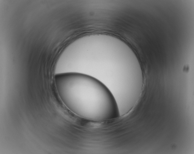 X0000113910170200909241314
