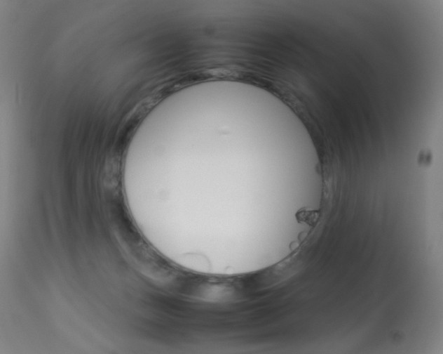 X0000113910175200909241314