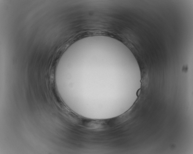 X0000113910179200909241314