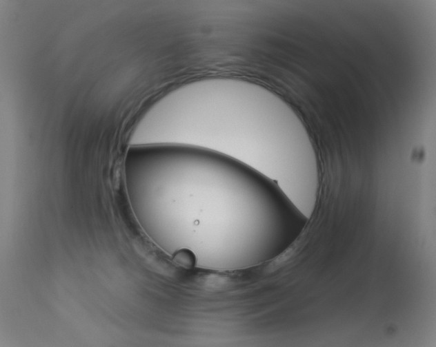 X0000113910180200909241314