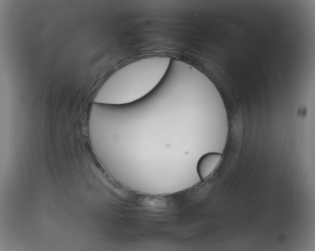 X0000113910181200909241314