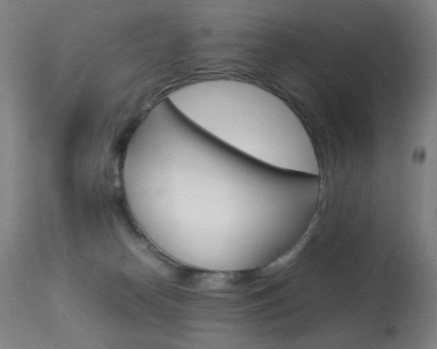 X0000113910182200909241314