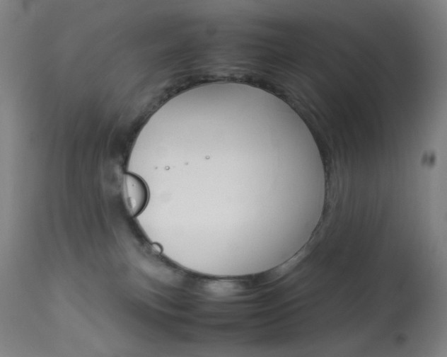 X0000113910183200909241314
