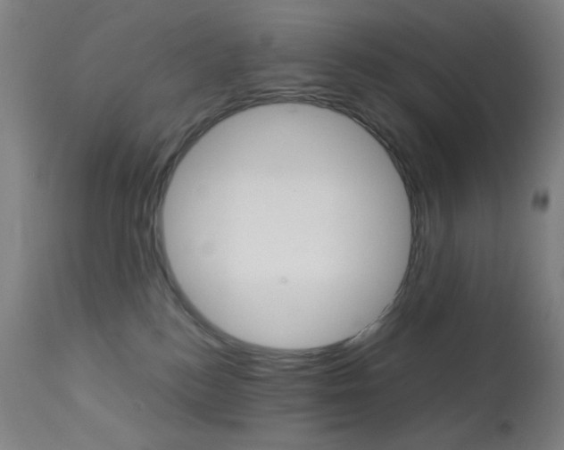 X0000113910184200909241314