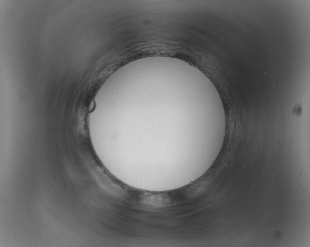 X0000113910185200909241314