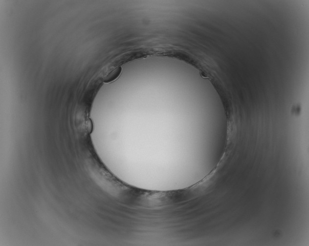 X0000113910186200909241314