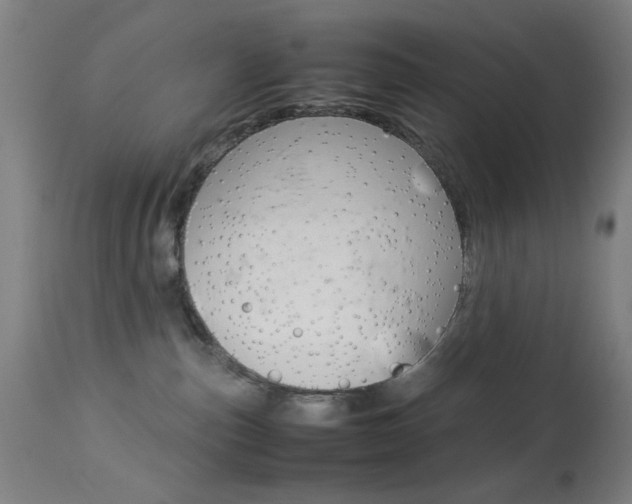 X0000113910187200909241314