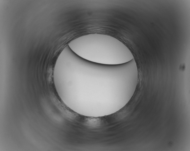 X0000113910189200909241314