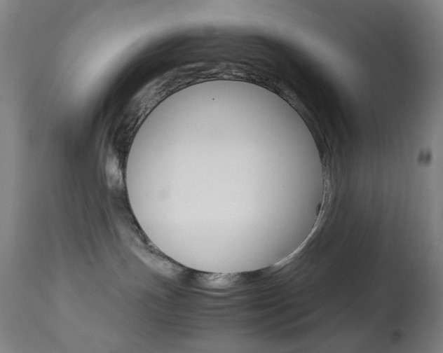 X0000113910191200909241314
