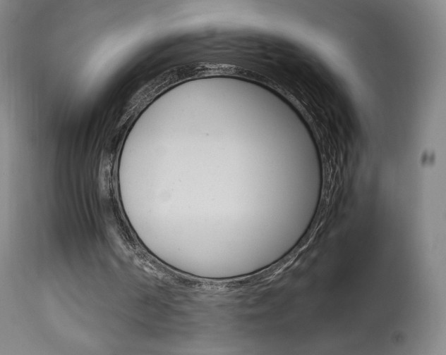 X0000113910194200909241314