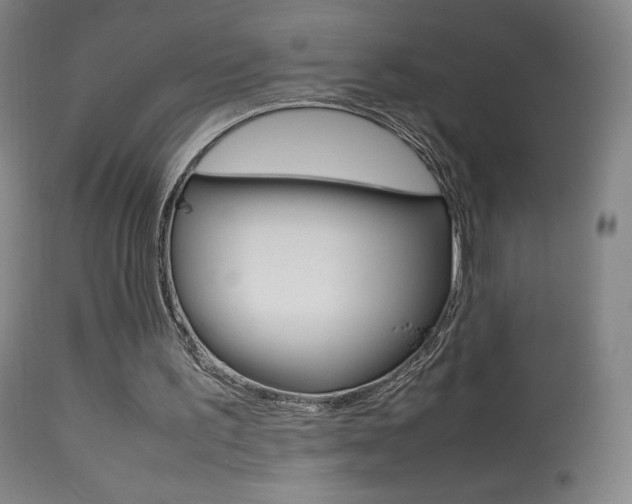 X0000113910195200909241314