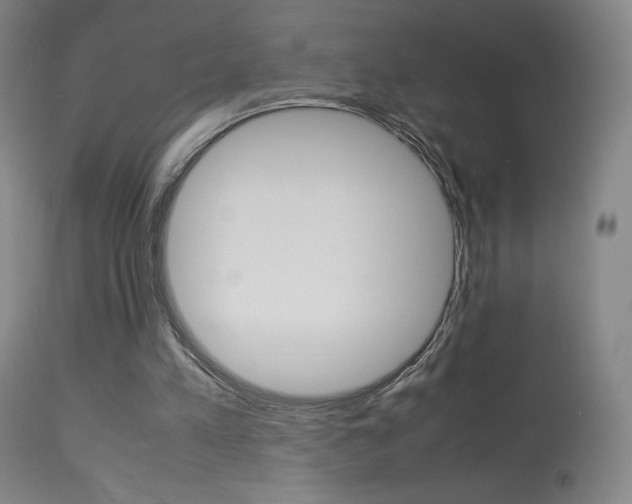 X0000113910197200909241314