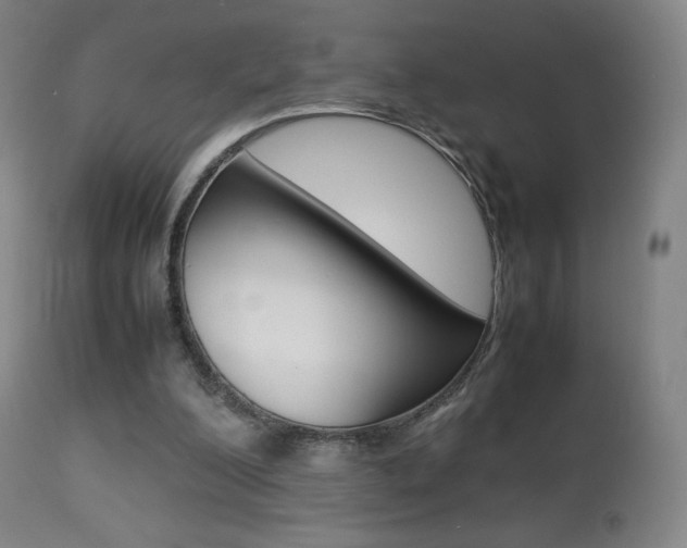 X0000113910200200909241313