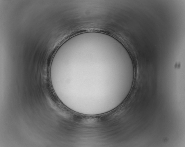 X0000113910202200909241313