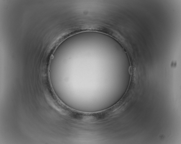 X0000113910203200909241313