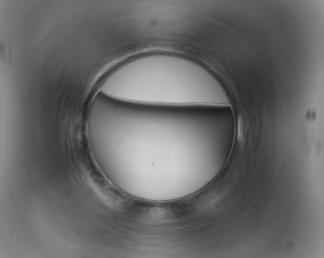 X0000113910204200909241313