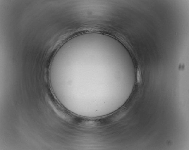 X0000113910205200909241313