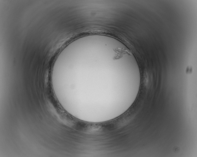 X0000113910206200909241313