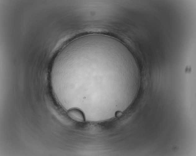 X0000113910207200909241313