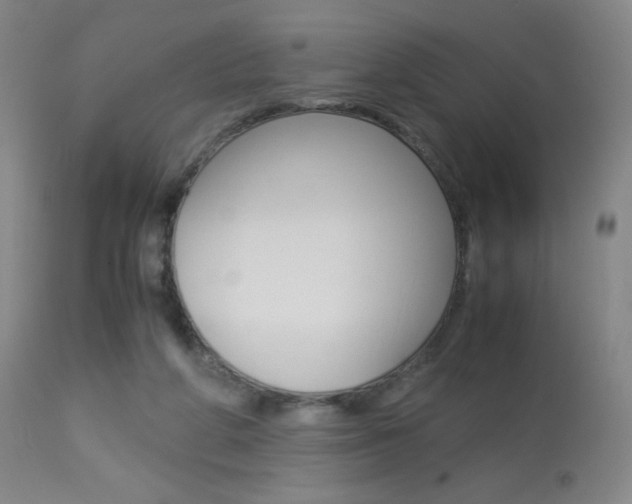 X0000113910210200909241313