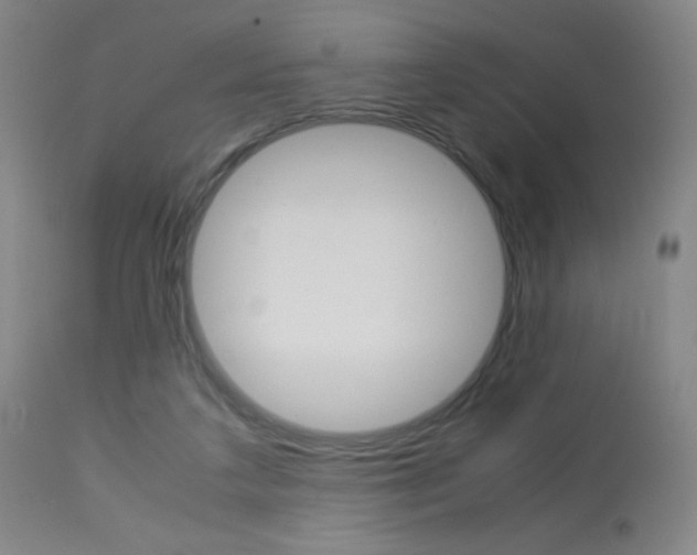 X0000113910211200909241313
