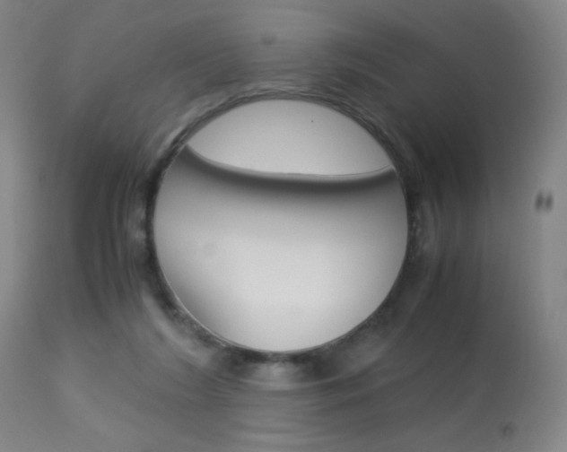 X0000113910212200909241313