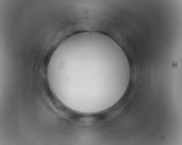 X0000113910213200909241313