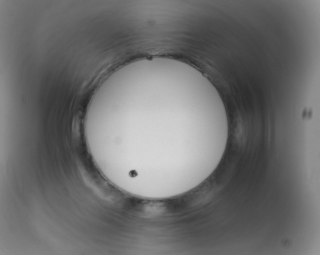 X0000113910214200909241313