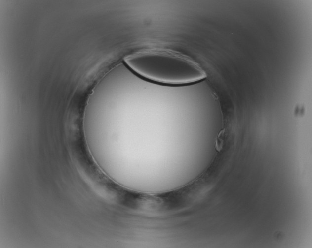 X0000113910215200909241313