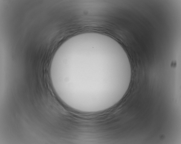 X0000113910219200909241313