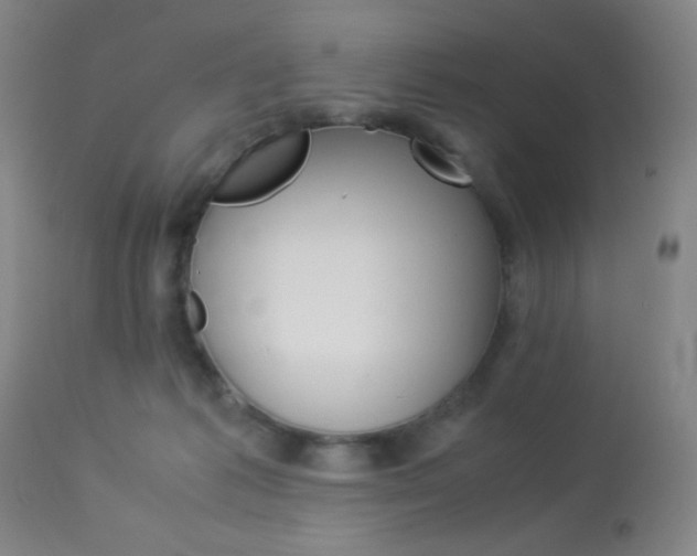 X0000113910221200909241313