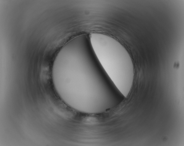 X0000113910224200909241313