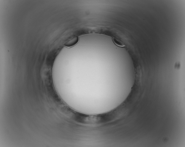 X0000113910225200909241313