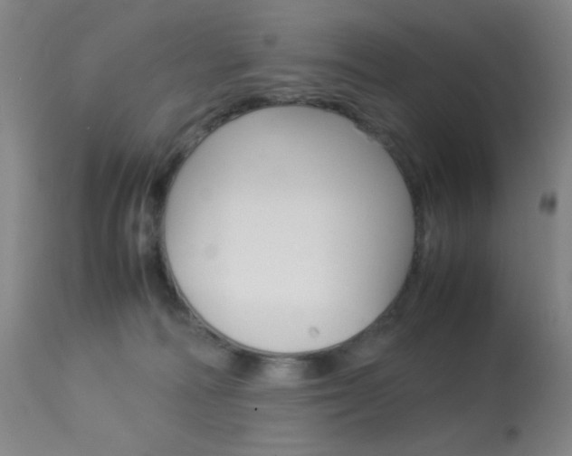 X0000113910226200909241313