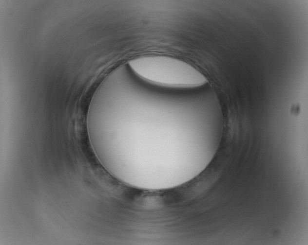 X0000113910228200909241313