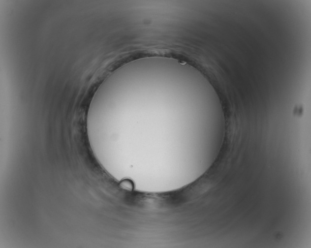 X0000113910229200909241313