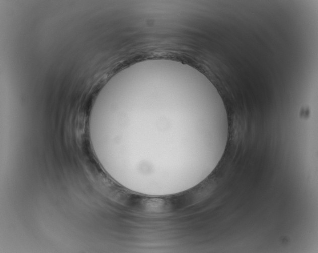 X0000113910230200909241313